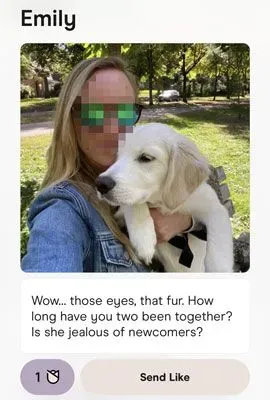 Hinge message example