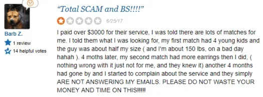 1 star Toronto Matchmakers review